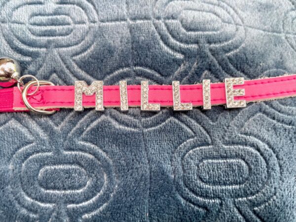Collars - Image 12