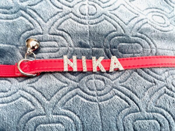 Collars - Image 9