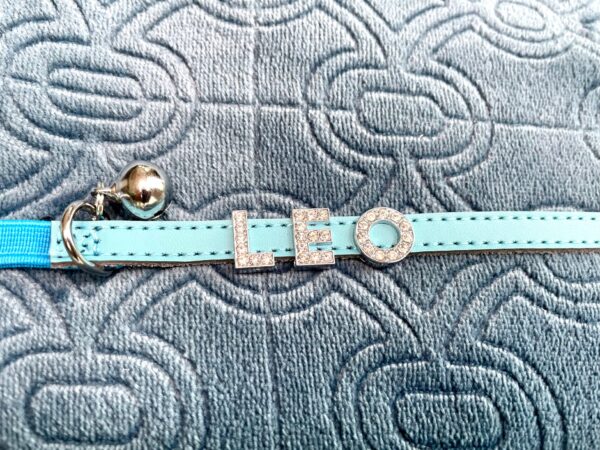 Collars - Image 6