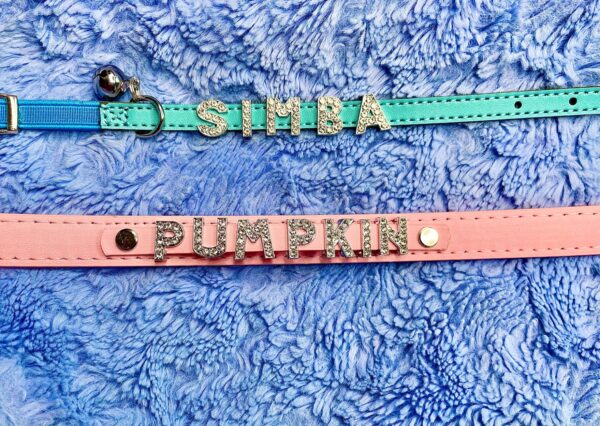 Collars - Image 3