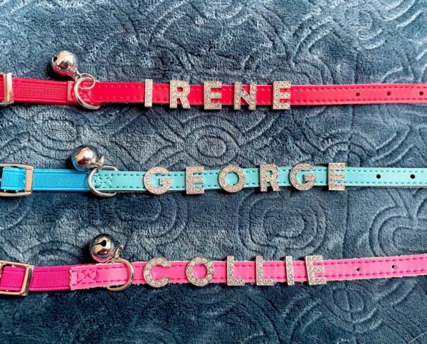 Collars - Image 2